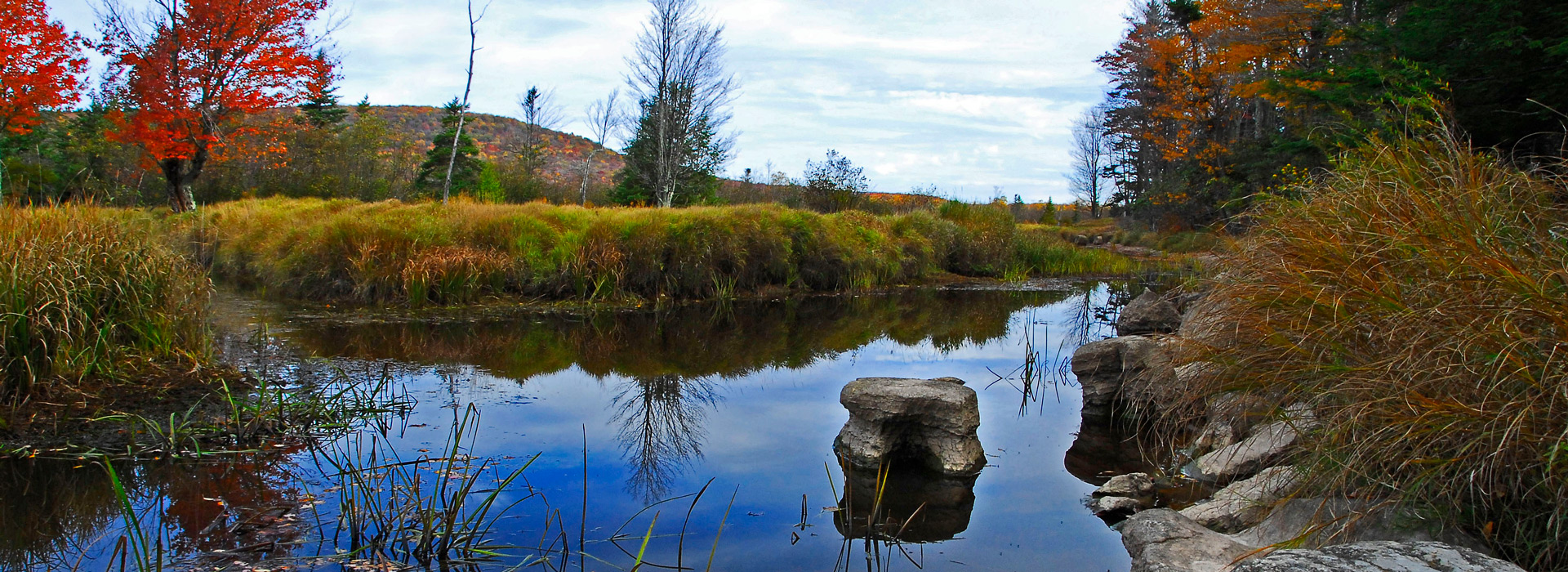 Canaan Valley Resort State Park